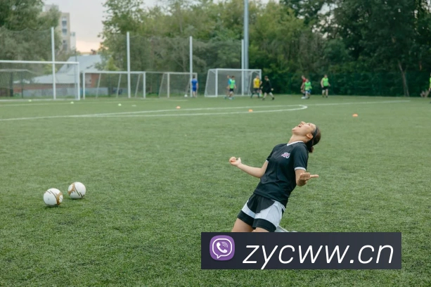 App Interface Preview